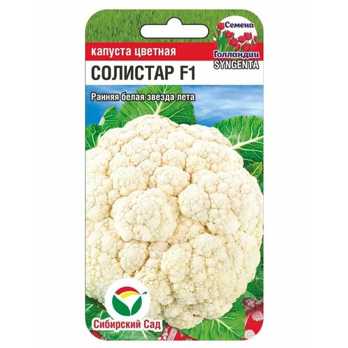 ���� ������� ������� 