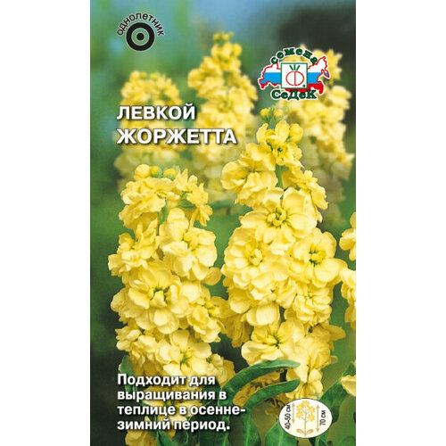 ���� ������ �������� (�������� �����, ������) 0,1�. (�����), ������ �� 146 ���