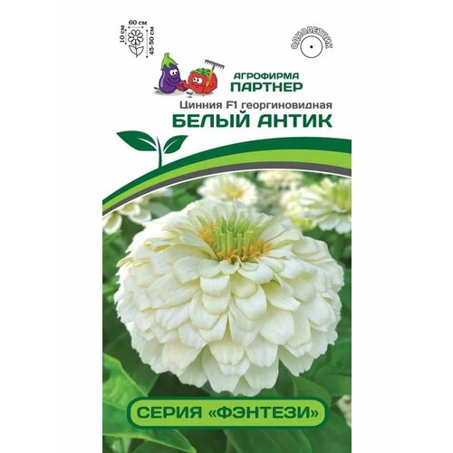 ���� ������ ������ �������������� 