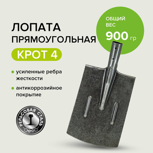 ���� ������ �������� ��� �������, ��������� ����� ����, ������ �� 591 ���