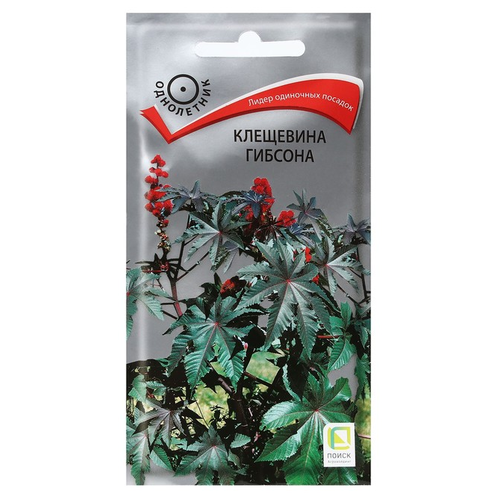 ���� ������ ����� ��������� ������� 2 �, ������ �� 98 ���