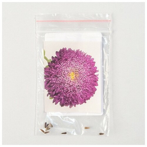 ���� ������ ������ ����� 