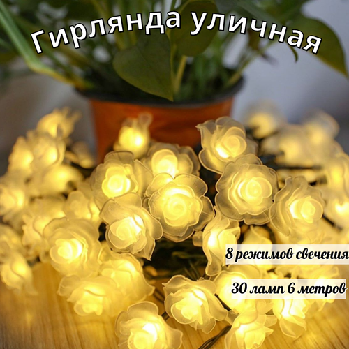 ���� ������������ �������� � ����� ��� �� ��������� ������� 30 ���� 6 �., ������ �� 790 ���