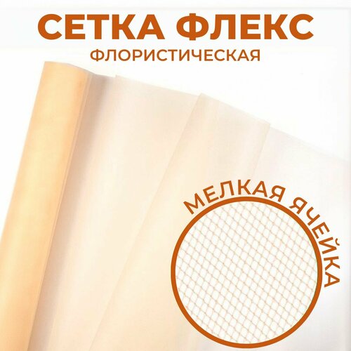 ���� �������� ��� ������ � �������� ����� 