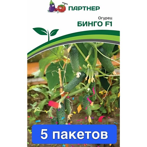 ���� ������ ������ ��������� ������� 