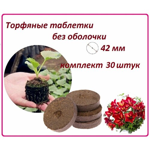       , 30 , d 42 ,      ,   ,   392 