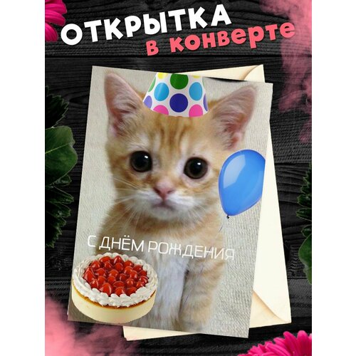 ���� �������� �6 � �������� � ���� ��������!, ������ �� 269 ���