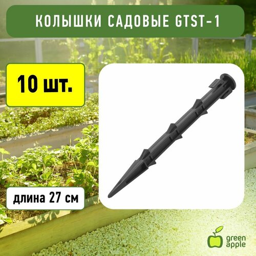    GTST-1 GREEN APPLE  ,   27, 10    -     , -, 