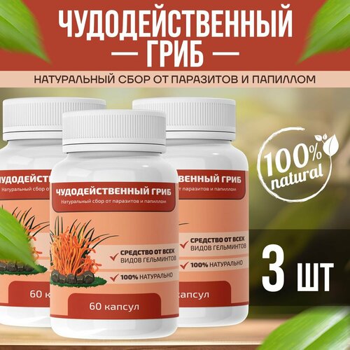 ���� ��������������� ���� ���� �� ��������� � ��������, ������ �� 1800 ���