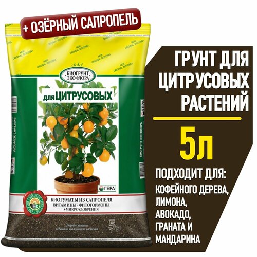 ���� ����� ��� ��� ���������� 5�, ������ �� 434 ���