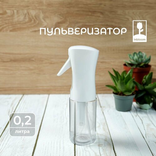 ���� ������������� 200��, �������, ������ �� 447 ���