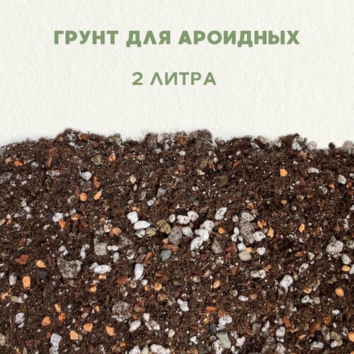 ���� ������� ����� ��� ��������, ��� ��������� ��������, ��� ������������� . ����� ��� ������ � ������. ����� ��� ��������. 2 �����, ������ �� 800 ���