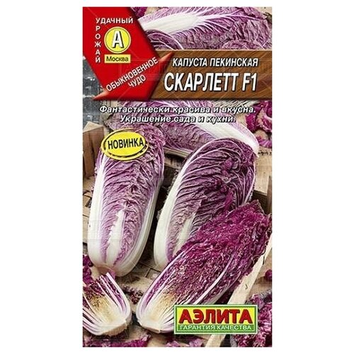 ���� ������. ������� ��������� 