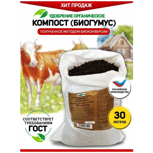 ���� ��������� ��� ��������, ������������ ������� (��������) �� ������ ������ ��� ������� 30 �, ������ �� 1390 ���