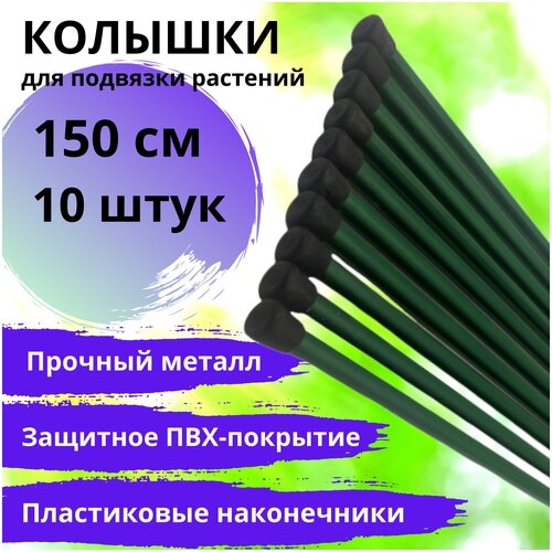       ( 10 .  1,5  / 150 )  , ,  , ,     ,   718 