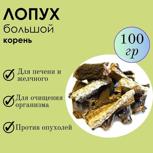 ���� ����� ��������� 