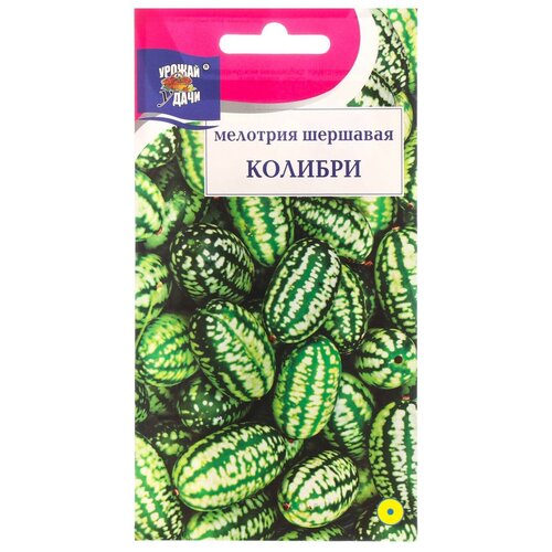 ���� ������ �������� �������� 