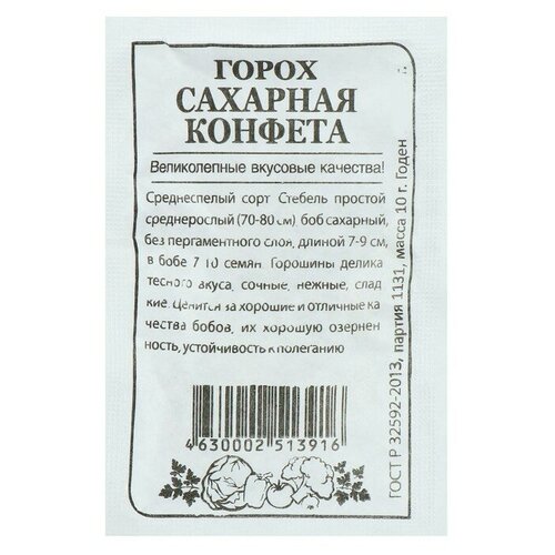 ���� ������ ����� 