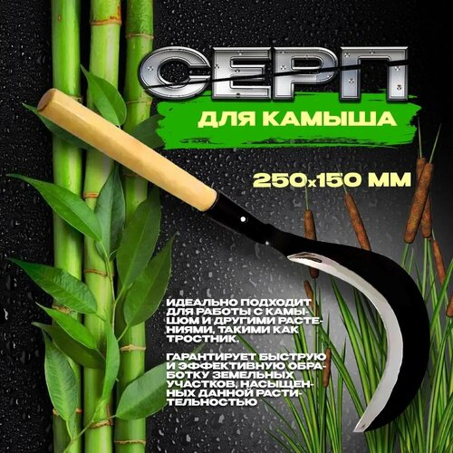 ���� ���� ��� ������ 250�150 �� ���������� ����, ������ �� 630 ���