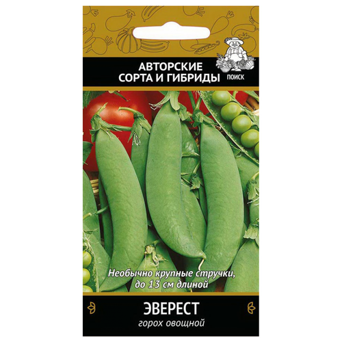 ���� ������� ����� 