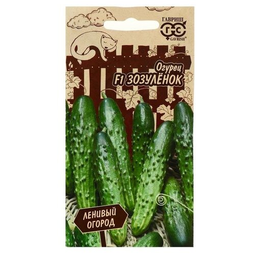 ���� ������ ������ ������� ������ ������ ��������� F1 10 ��., ������ �� 306 ���