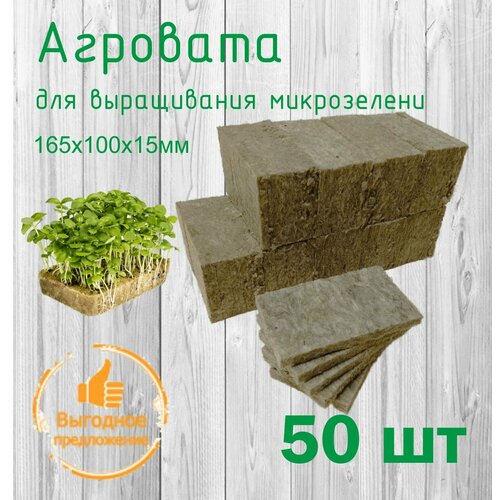 ���� �������� ��� ����������� �����������., ������ �� 740 ���