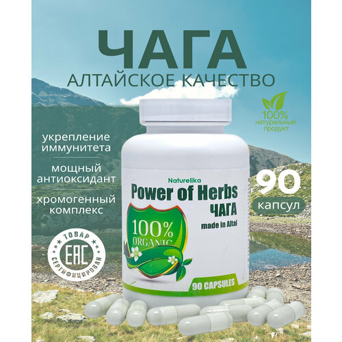 ���� ���� � ��������, ������ �� 671 ���