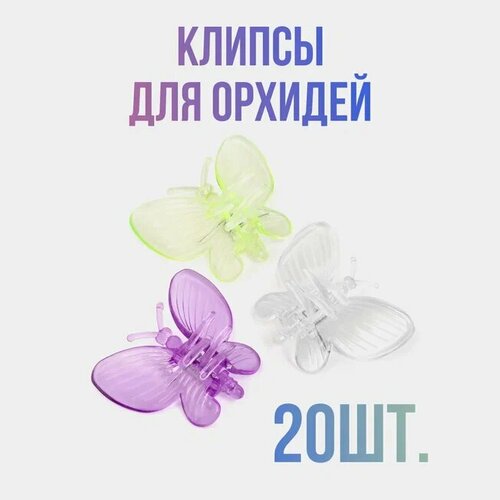 ���� ������ �����, ��������� ������� ��� �������, �������� ������, ��������� �������� 20 ����, ������ �� 356 ���