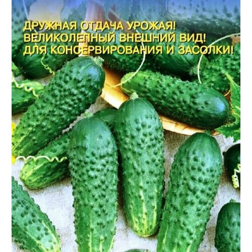 ���� ������������� ������ ������ �������� F1, ������ �� 128 ���