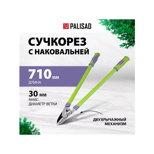 ���� �������� � �����������, 710 ��, ������������ ��������, ���������������� ��������, Palisad, ������ �� 1381 ���