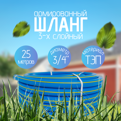 ���� ����� ���������� 3/4