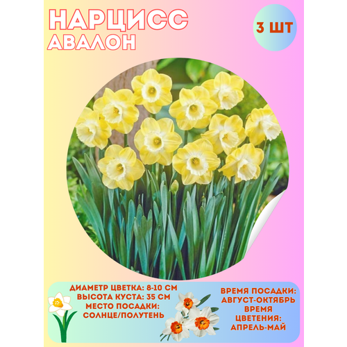 ���� ������� ������, ����������� �����, �������� 3 ��, ������ �� 360 ���