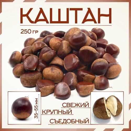 ���� ����� ������� 250�, ������ �� 522 ���