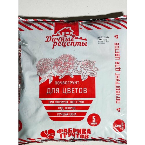 ���� ����� ��� ������ 