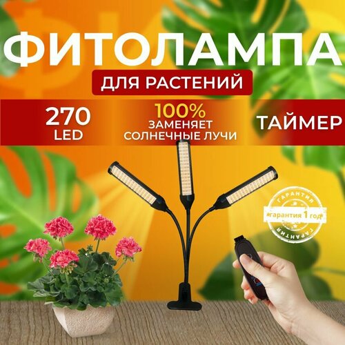 ���� ��������� ��� ����������� �������� ������� ������ ������ �������������� ������������ ��� ������ �� ������ ������� � ��������� � ��������, 3 �����, ������ �� 2700 ���