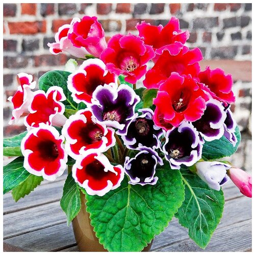 ���� ������ ��������� ��������� ���������� ���� ������� � �����, 8 ��, ������ �� 472 ���