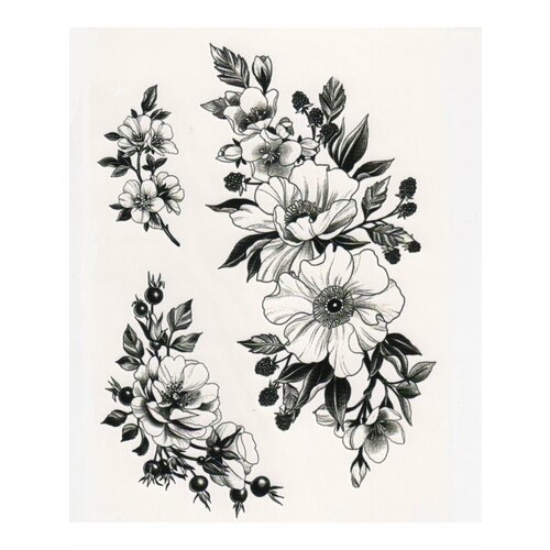 ���� ��������� ���� ������, ���������� ����������, �����, ����, ���������, ����, �����, ����������, ������ �� 221 ���