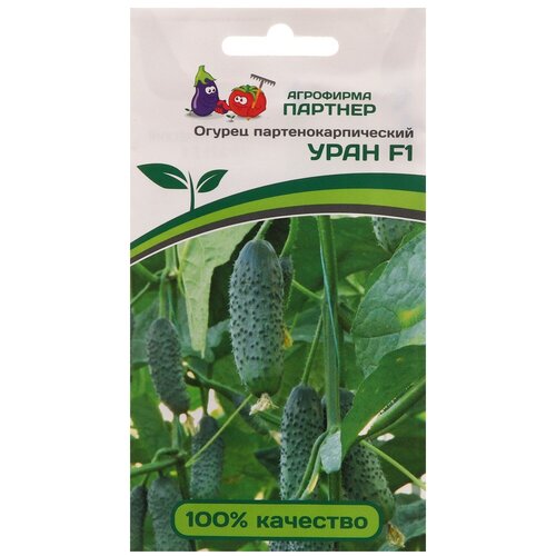 ���� ������ ������ 