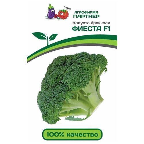 ���� ������� �������� 