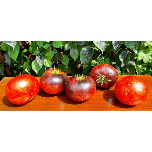 ���� ������ ������ ������ ��������� (Dark Galaxy) / Seeds And Goods / � �������� zip-lock ��� ���������� 15 �����, ������ �� 249 ���