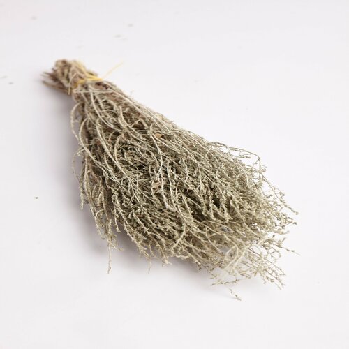 ���� ����� ��� ���� 