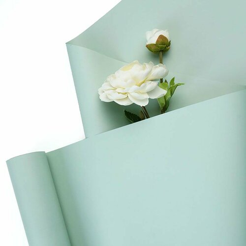 ���� ������ ��� ������ ������� �������� / ����� / 9*0,5 �, ������ �� 501 ���