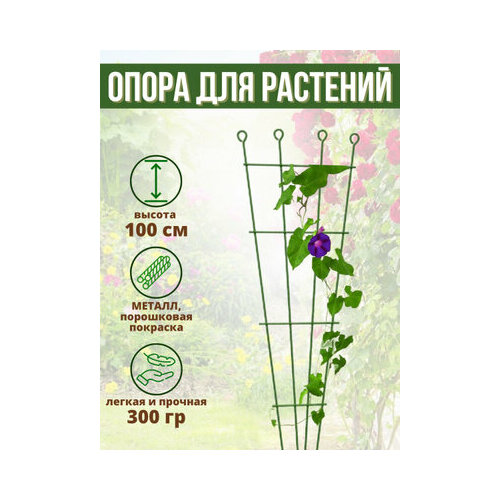 ���� ������� ��� �������� �������� ���������� ���� �������, 100 ��, ������ �� 534 ���