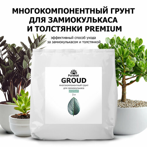 ���� ����� Premium ������ 3 � ��� ������������� � �������� � ���� ������ ��������, ��������� ������, ������ �� 545 ���