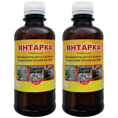 ���� ��������� �������� ������� 