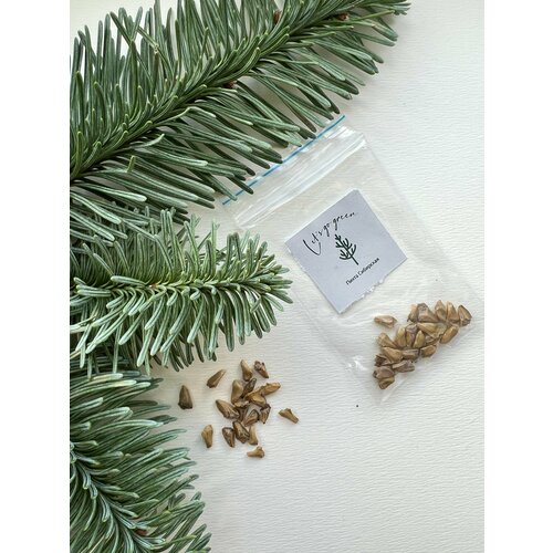 ���� ������ ����� ���������, ������ �� 275 ���