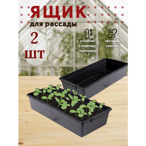 ���� ���� ��� ������� ���-�-��� 43�20�10��, 2 �����, ������ �� 459 ���