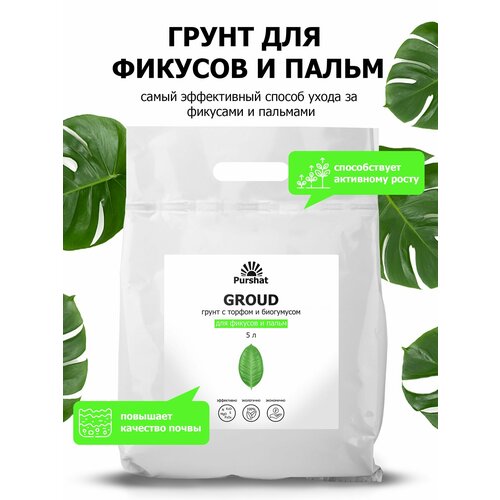 ���� ����� (�����) ��� ������� � ����� ������. � ������ � ���������� ��� ��������� ����� � �������������� �������� (Purshat) 5 �, ������ �� 858 ���