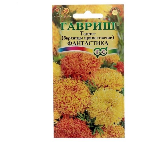 ���� �������� ������������ 