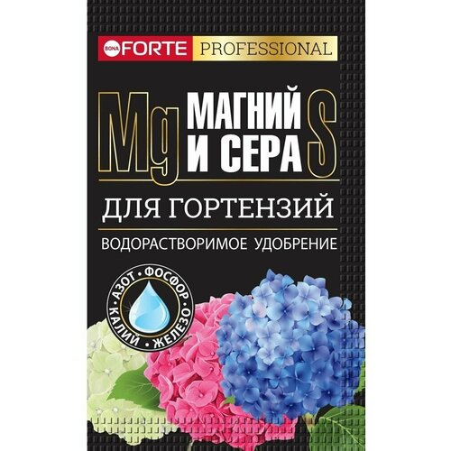            100 Bona Forte,   235 